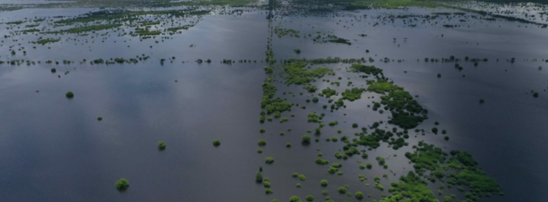 México: esto sucede cuando se tumba selva en el territorio maya