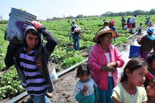 Protesta FIOB por cierre de comedores para hijos de jornaleros en Sinaloa