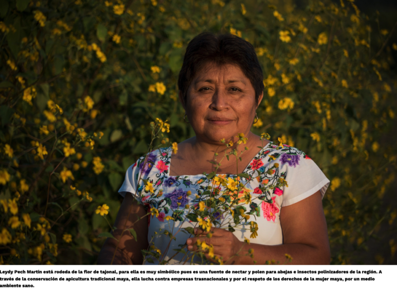 “Los pueblos indígenas tenemos una forma distinta de mirar el desarrollo”: Leydy Pech