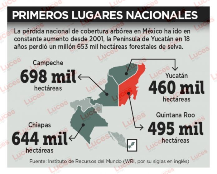 Deforestan en Península 1.6 millones de hectáreas