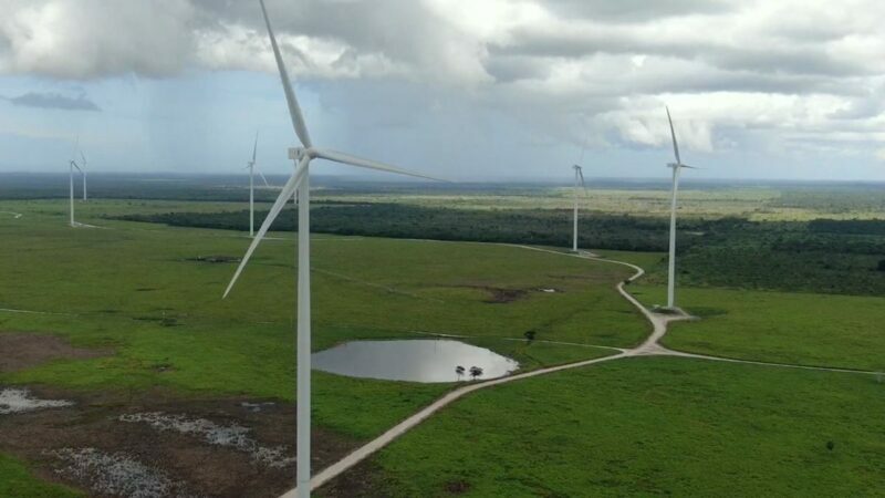 Sin estudio ambiental regional, inauguran parque eólico en Tizimín