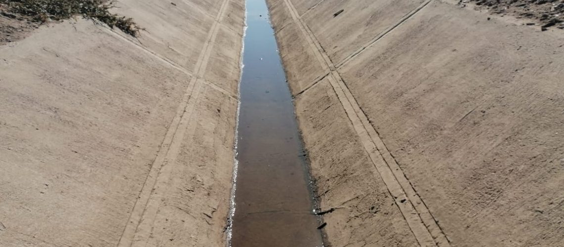 En riesgo 45 mil hectáreas de maíz por falta de agua (Sinaloa)