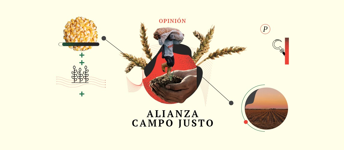 Campo justo, Opinión Ellas nos alimentan, empresarios y gobiernos las acosan