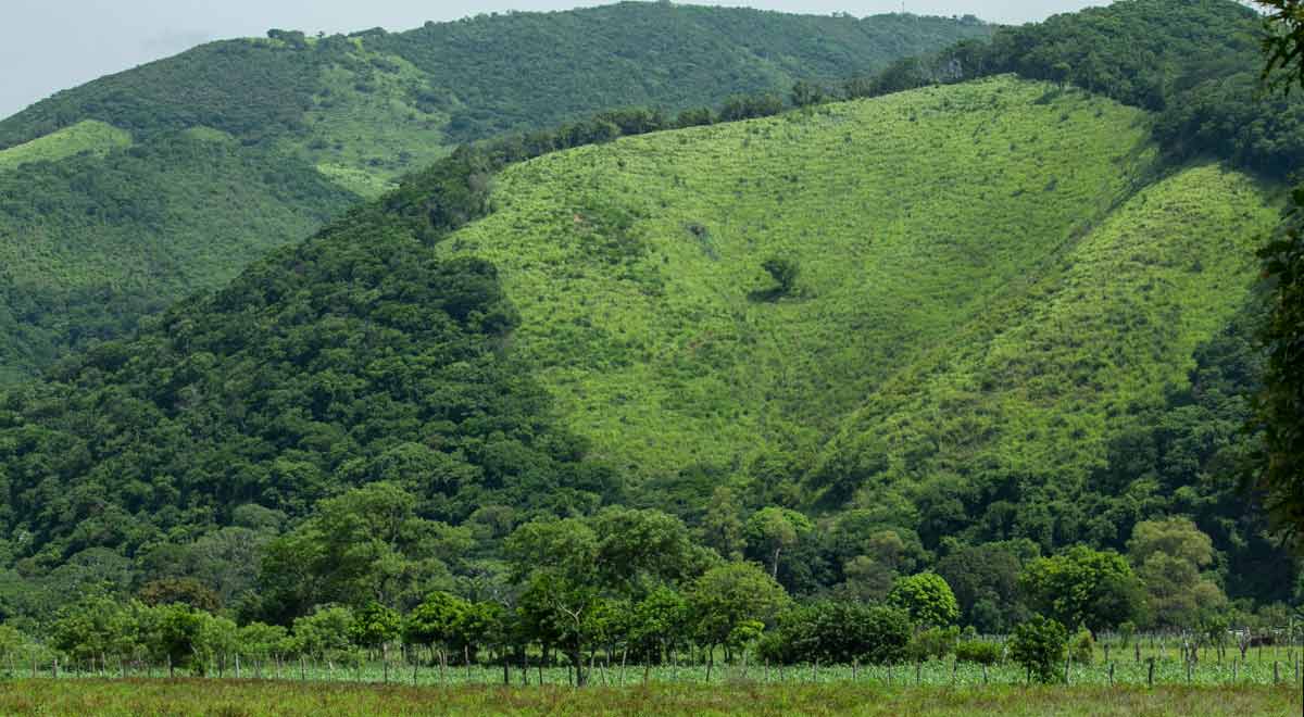 Todo el territorio de Chimalapas en riesgo ante proyectos mineros (Oaxaca)