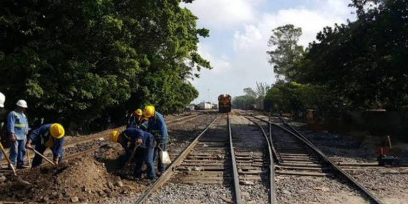 “Son proyectos que no están siendo consultados”: Por Tren Maya, se harían 10 parques solares; activistas de Yucatán no quieren más despojo de tierras