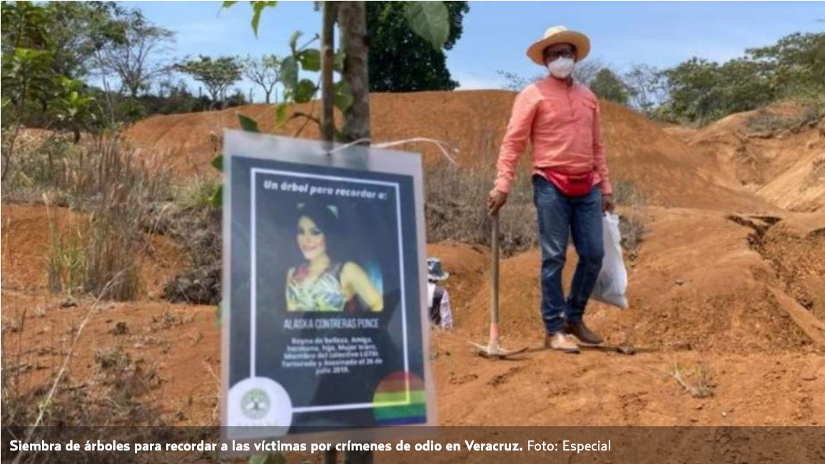 Siembran árboles en memoria de activista y 18 asesinados en Veracruz