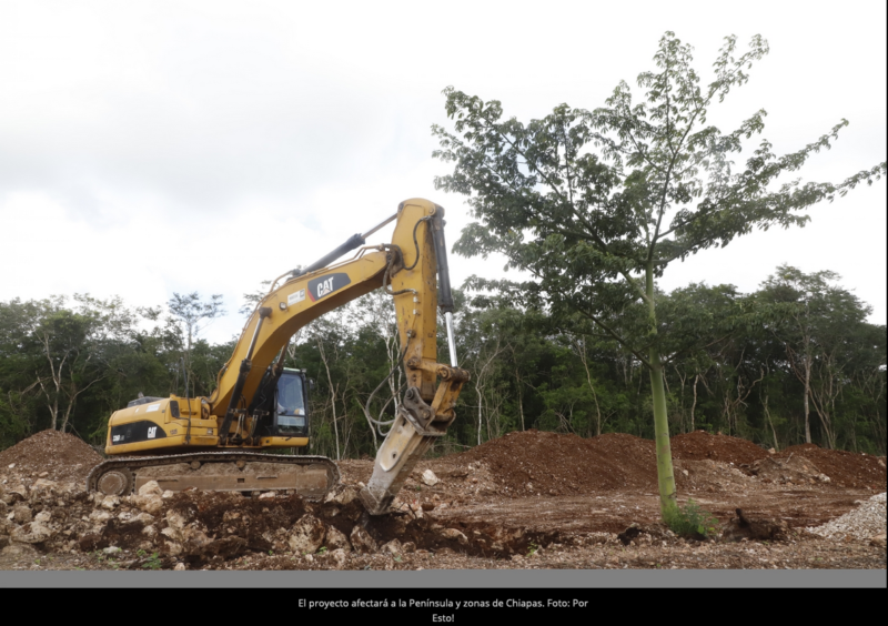 Tren Maya, amenaza ambiental para Yucatán, advierte Cinvestav