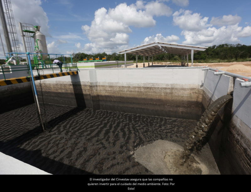 Empresa porcícola disfraza daño ambiental en Chapab (Yucatán)