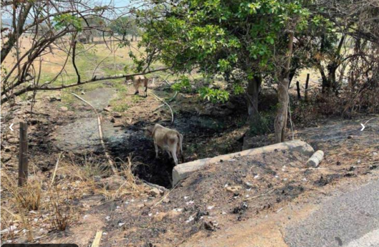 Mineras de Canadá podrían estar tras devastación de El Farallón (Veracruz)