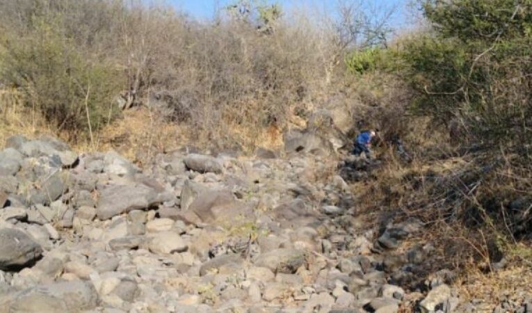 Colectivos hallan un cuerpo en Cortazar… y las autoridades los ignoran (Guanajuato)