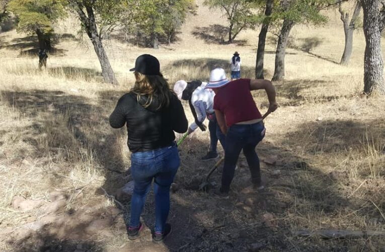 Colectivo encuentra restos de seis personas en fosas clandestinas en Guaymas, Sonora