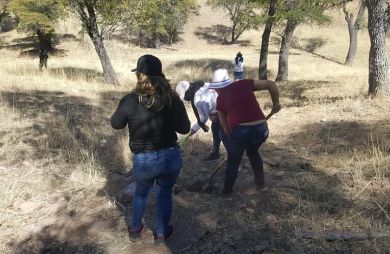 Colectivo encuentra restos de seis personas en fosas clandestinas en Guaymas, Sonora