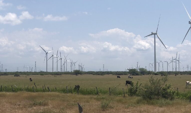 Zapotecos, dueños de la tierra, ahora son acusados de despojo (Oaxaca)