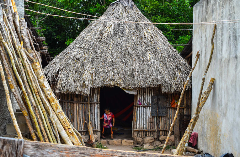 “Llueven las moscas”. Abusos de la fábrica de cerdos Kekén en Yucatán