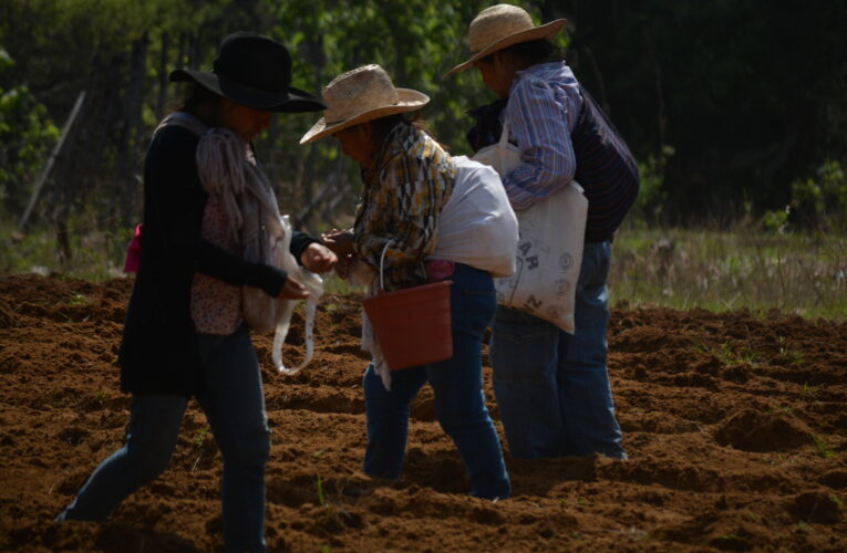 Mujeres de San Pablo Cuatro Venados resisten y defienden sus tierras ancestrales (Oaxaca)