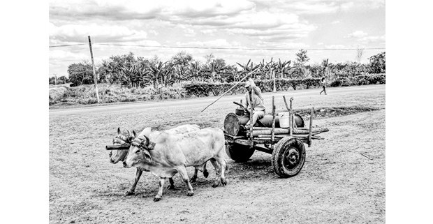 Los Mixes ante el corredor interoceánico (Oaxaca)