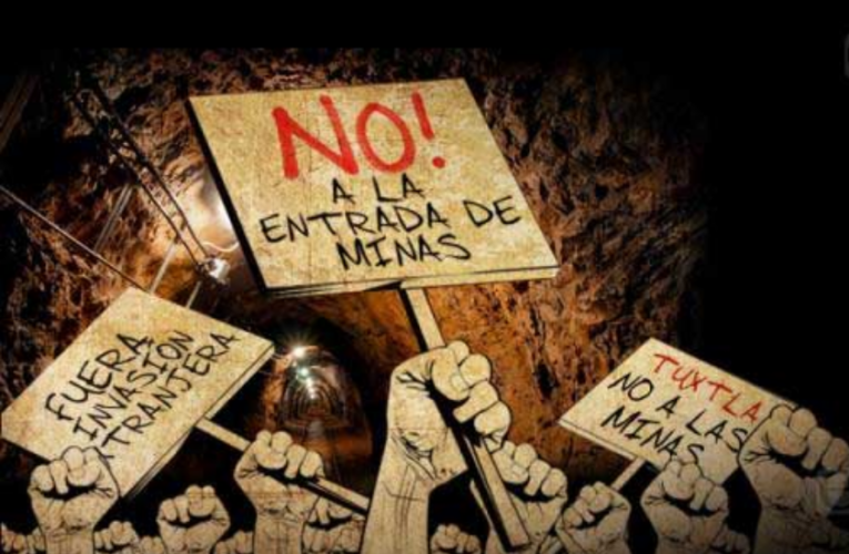 No deben avanzar “proyectos de muerte” en Veracruz: Ambientalistas