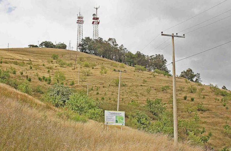 Ambientalistas denuncian agresiones por presuntos dueños del Crestón, les impiden reforestar (Oaxaca)