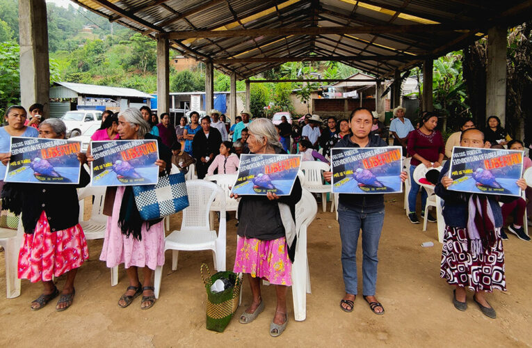 Resistir ante el Estado, los caciques viejos y nuevos en la mazateca (Oaxaca)