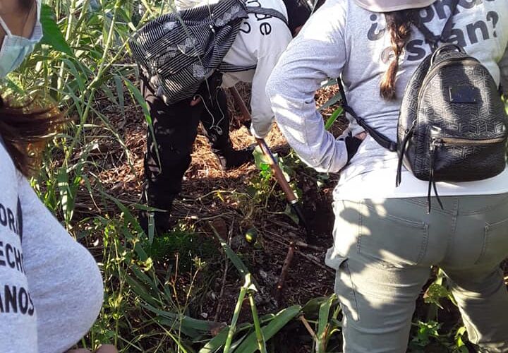 Inicia Comisión de Búsqueda de Oaxaca su trabajo sin presupuesto; colectivos ayudan en búsquedas