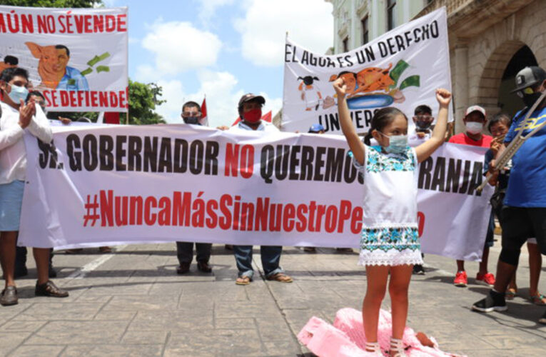 Niñas y niños inician campaña contra granja porcina en Homún, Yucatán