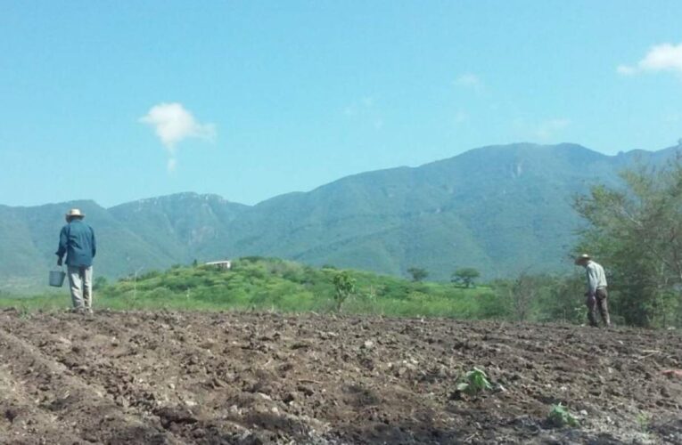 El Mentidero: un valle envenenado con glifosato (Jalisco)