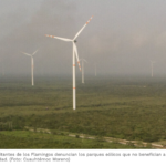 Los parques eólicos de Yucatán benefician a las grandes empresas
