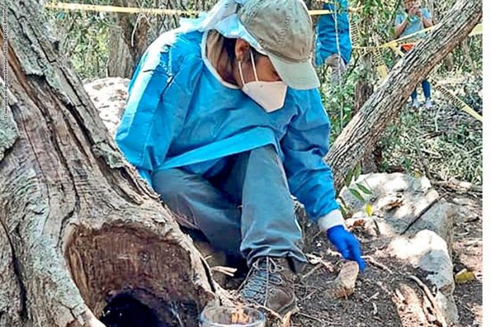 Localizan en Tamaulipas más campos de exterminio