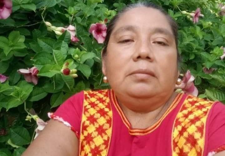 Encarcelan a profesora ayuujk e hijo por oponerse a obra de Corredor Interoceánico en sus tierras; Ucizoni exige su liberación (Oaxaca)