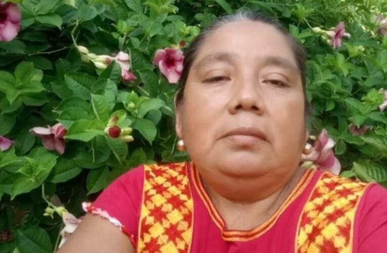 Liberan a profesora detenida por oponerse a obra de Corredor Interoceánico en sus tierras (Oaxaca)