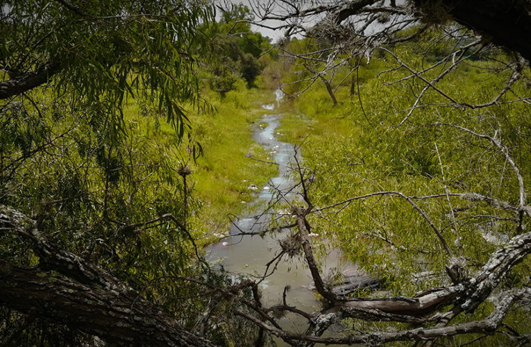 El río Laja: matar un río saqueando su arena