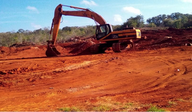 México: apicultores denuncian avance de la deforestación en la Península de Yucatán