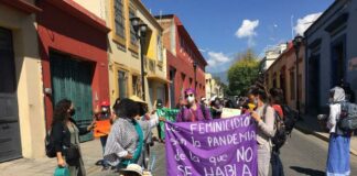 Exigen colectivas feministas la aparación con vida de la defensora Irma Galindo Barrios (Oaxaca)