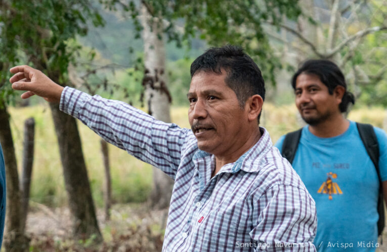 Anuncian que Transístmico contará con energía de hidroeléctricas en los Mixes (Oaxaca)