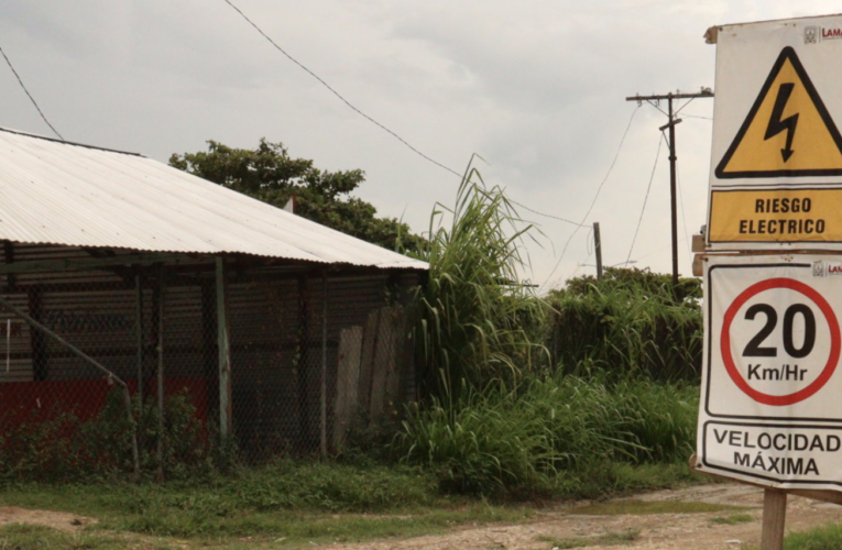 “El Tren Maya nos invadió”