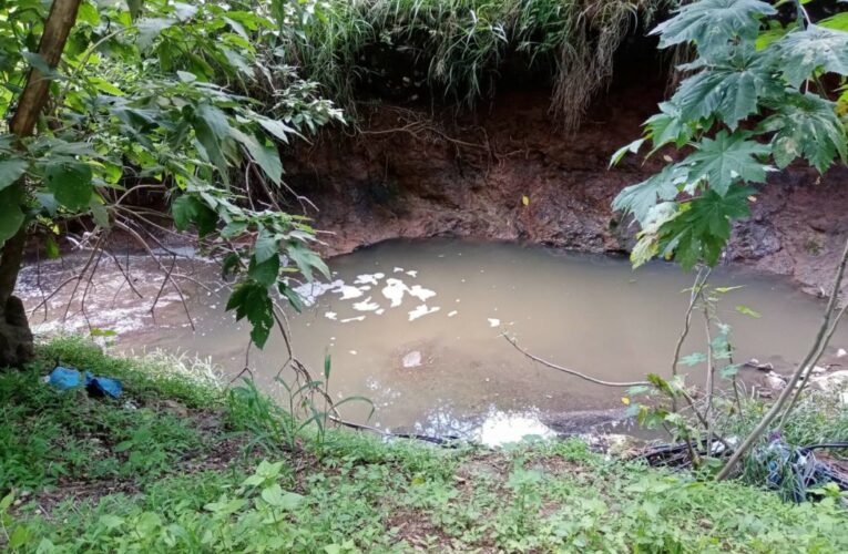 Colectivos y organizaciones de Tonalá exigen seguridad tras agresión a defensor del medio ambiente (Jalisco)