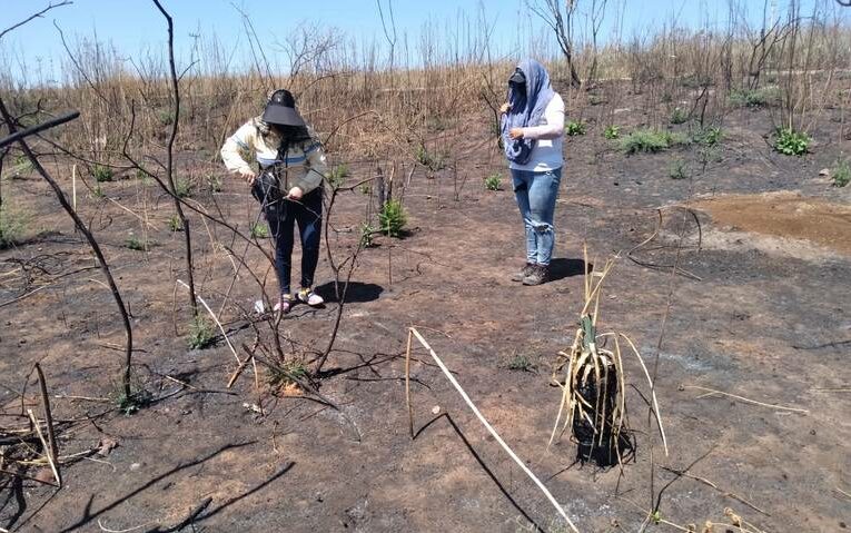 Suman 21 fosas clandestinas localizadas en Jalisco este 2022 (Jalisco)