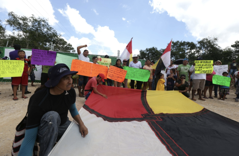 Homún llama a Juez a no abrir megagranja de cerdos (Yucatán)