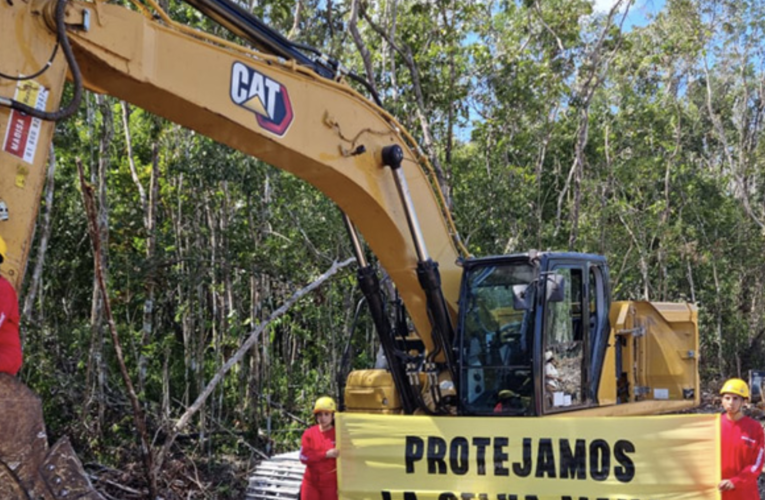 Tren Maya pasa por encima del marco legal, naturaleza y derechos humanos