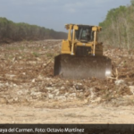 Con omisiones e imprecisiones, la Manifestación de Impacto Ambiental para el Tren Maya: ONG