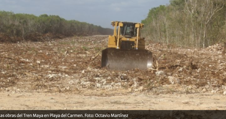 Con omisiones e imprecisiones, la Manifestación de Impacto Ambiental para el Tren Maya: ONG