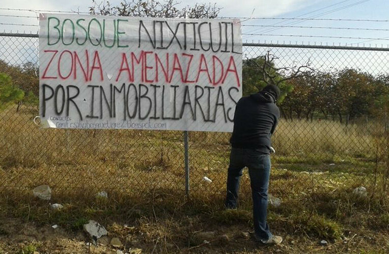 El Comité en Defensa del Bosque Nixticuil denuncia amenazas en contra de sus integrantes (Jalisco)