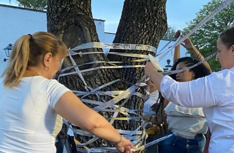 “Jalisco primer lugar en denuncias por violencia vicaria”: Frente Nacional Contra la Violencia Vicaria