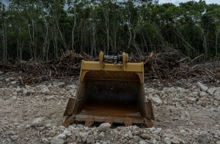 Tren Maya en México: expertos y científicos advierten de riesgos