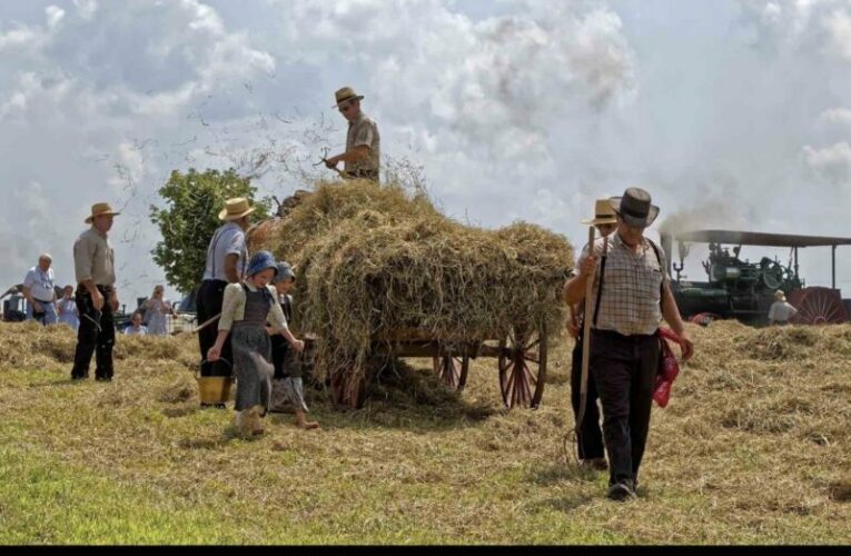 Ejidatarios de Hopelchén acusan a menonitas de invadir más de 4 mil hectáreas (Campeche)