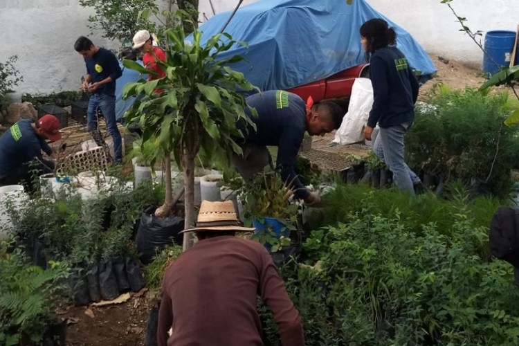 Organizaciones exigen frenar el hostigamiento judicial hacia defensores del Nixticuil (Jalisco)