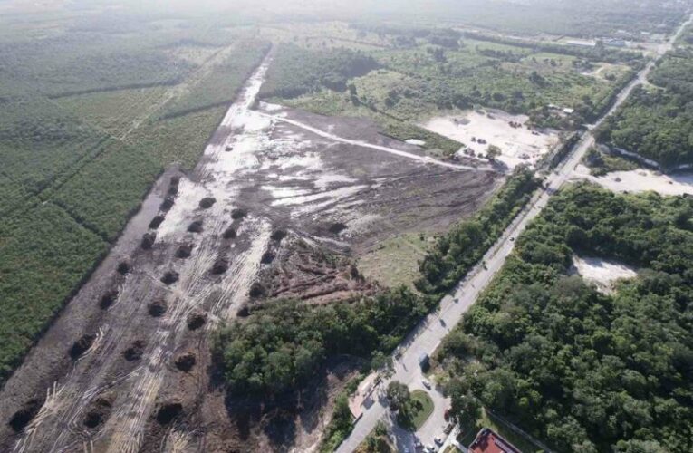 Tren Maya tala Calakmul pese a amparo (Campeche)