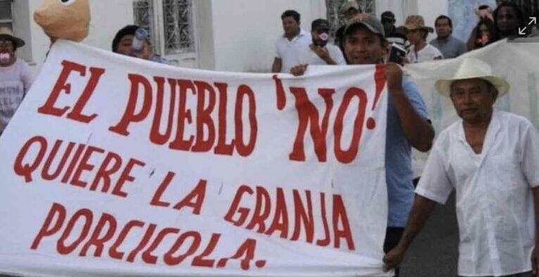 50 municipios le declaran la guerra a Kekén para sacarla de Yucatán
