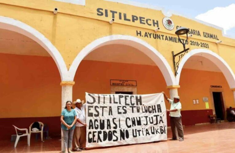 Megagranja de cerdos pretende que se revierta amparo de Sitilpech (Yucatán)