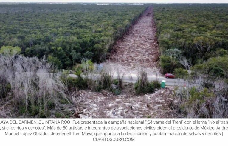 El Tren Maya y su impacto ambiental, una locomotora de destrucción